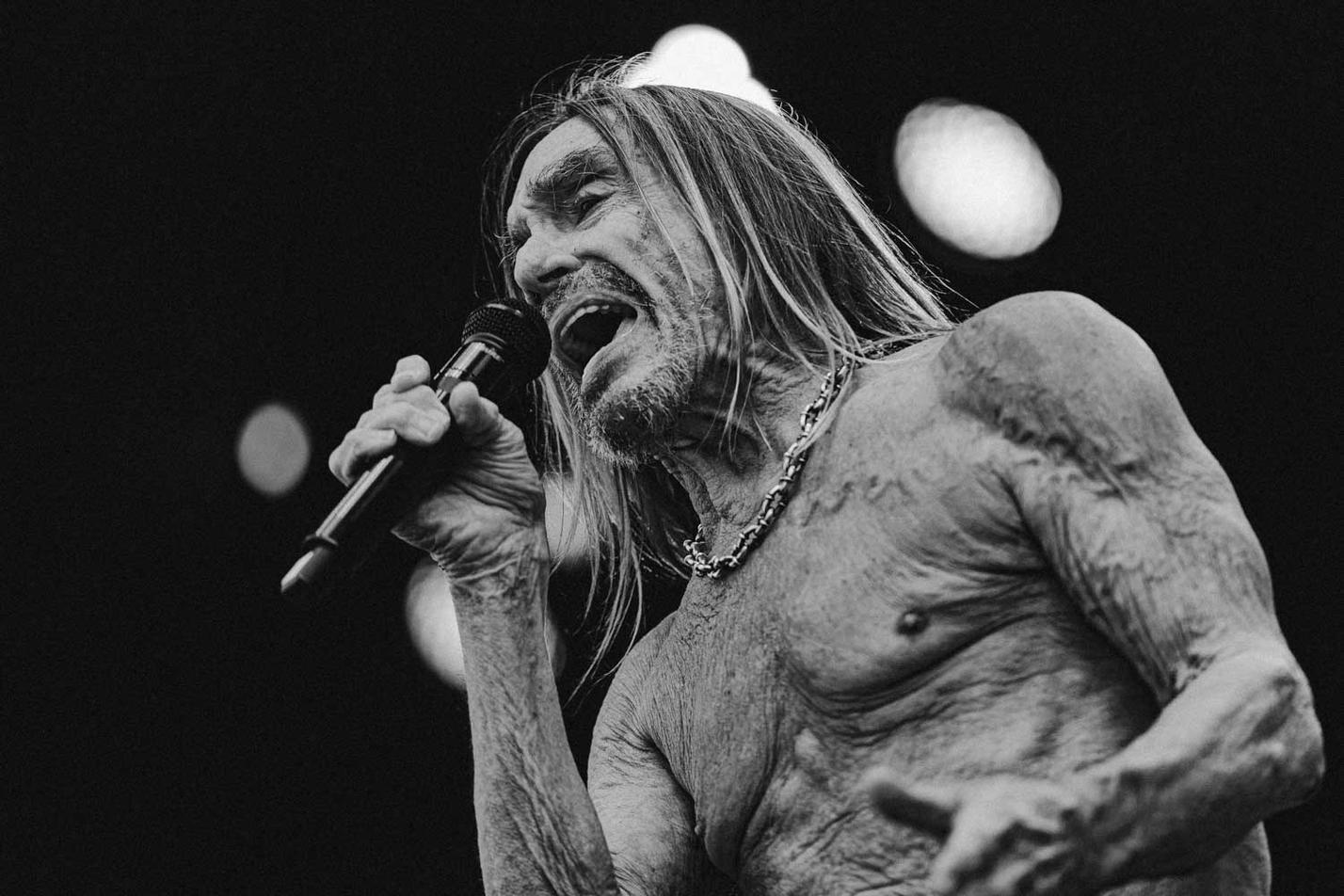 pohoda_iggy_pop_8