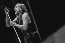 pohoda_iggy_pop_6