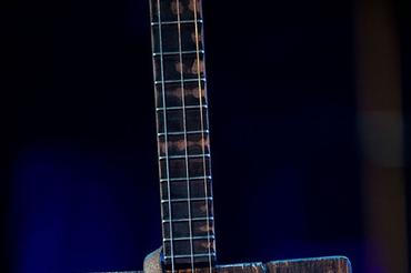bluesalive2018-01-jan-fic (1)