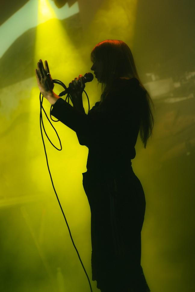 Fæ Bestia (4)