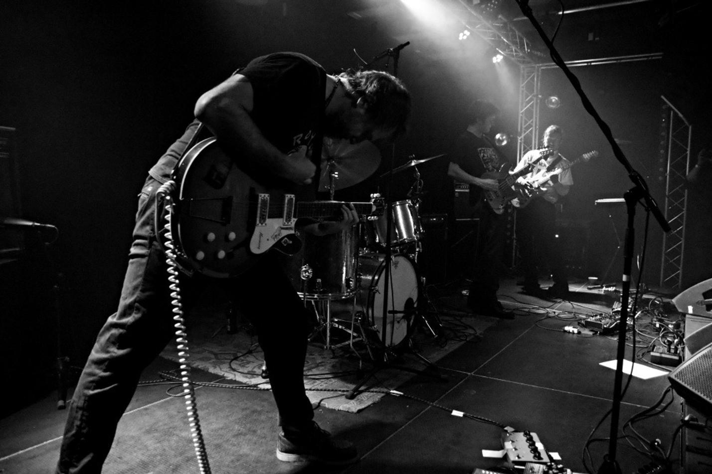 7-Please The Trees