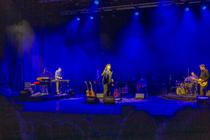 Tindersticks (1)