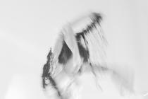 13-zora_lucent