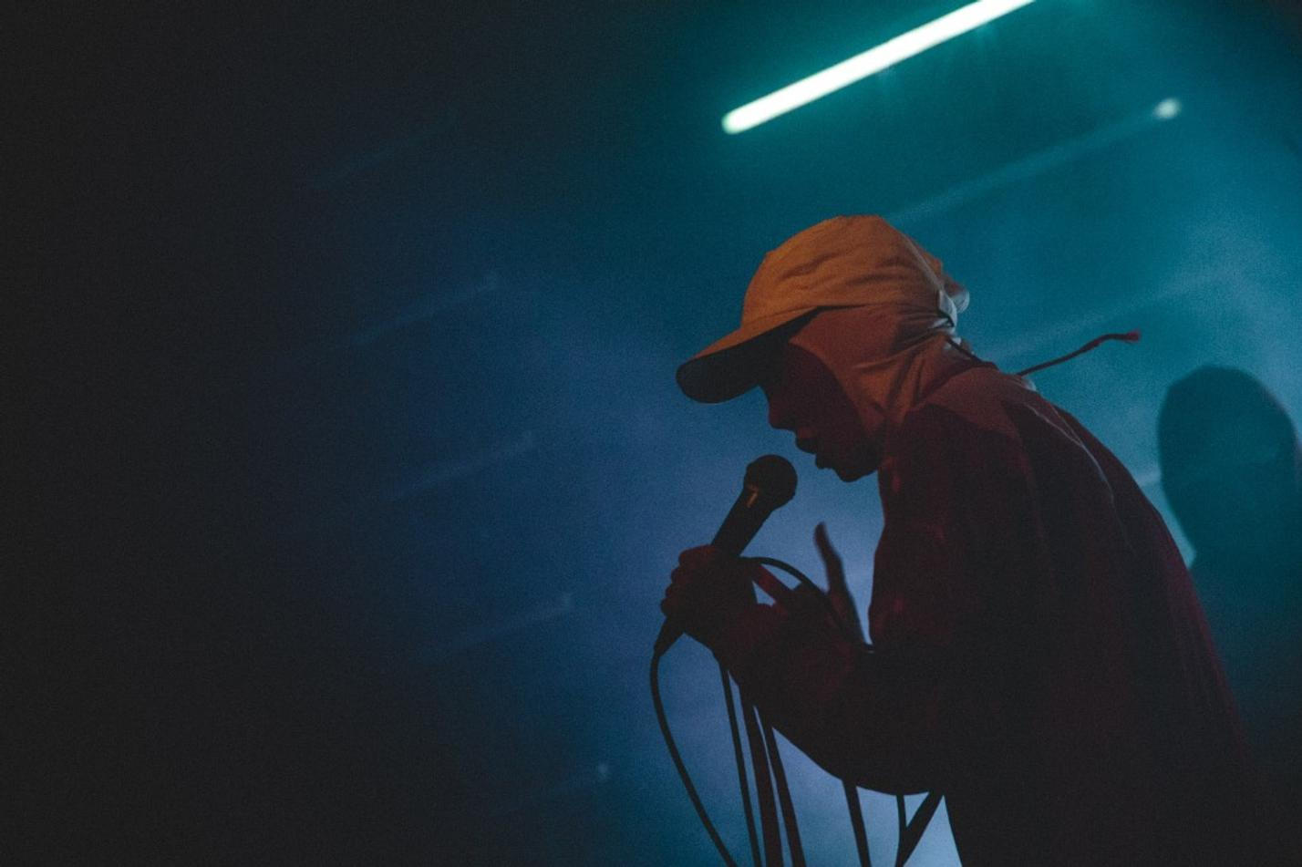 Gazelle Twin