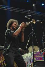 irreversible entanglements (4)