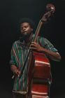 irreversible entanglements (5)
