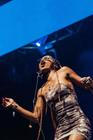 17_Iamddb_Grape Festival