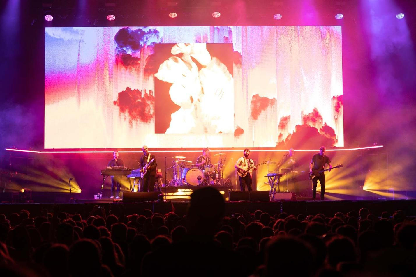 Foals