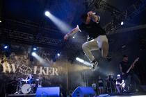 skywalker (4)