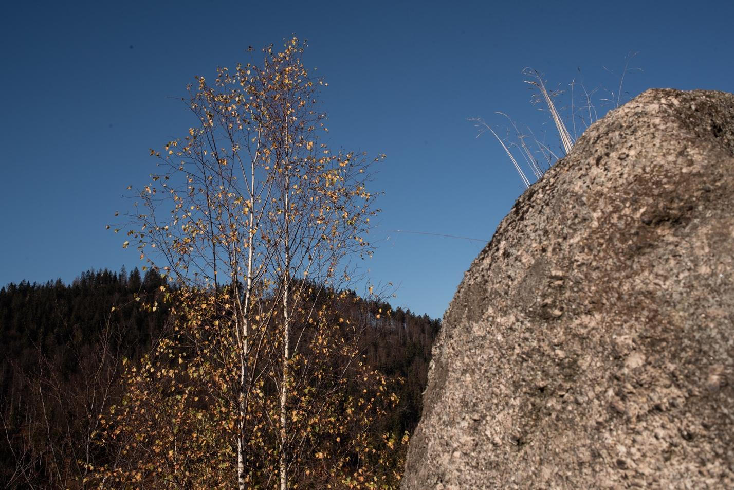 14_verunka_martin