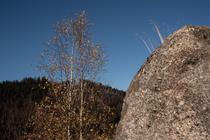 14_verunka_martin