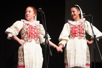 Pokošovci