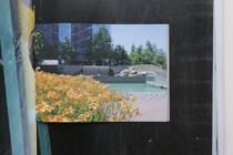 Kinterova_WhatYouSeeIsWhatYouThink_detail 4