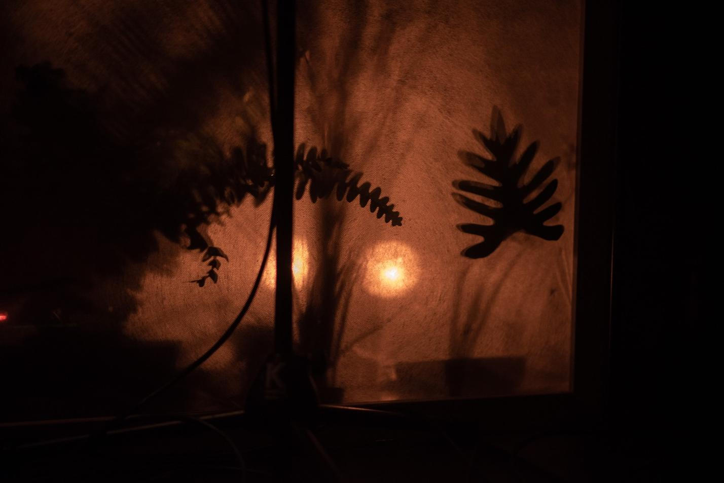 01_coldcoldnights