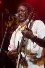 The Garifuna Collective
