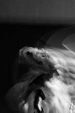 13 swans-4119 (kopie)