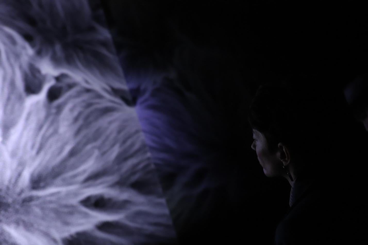 11_multiverse