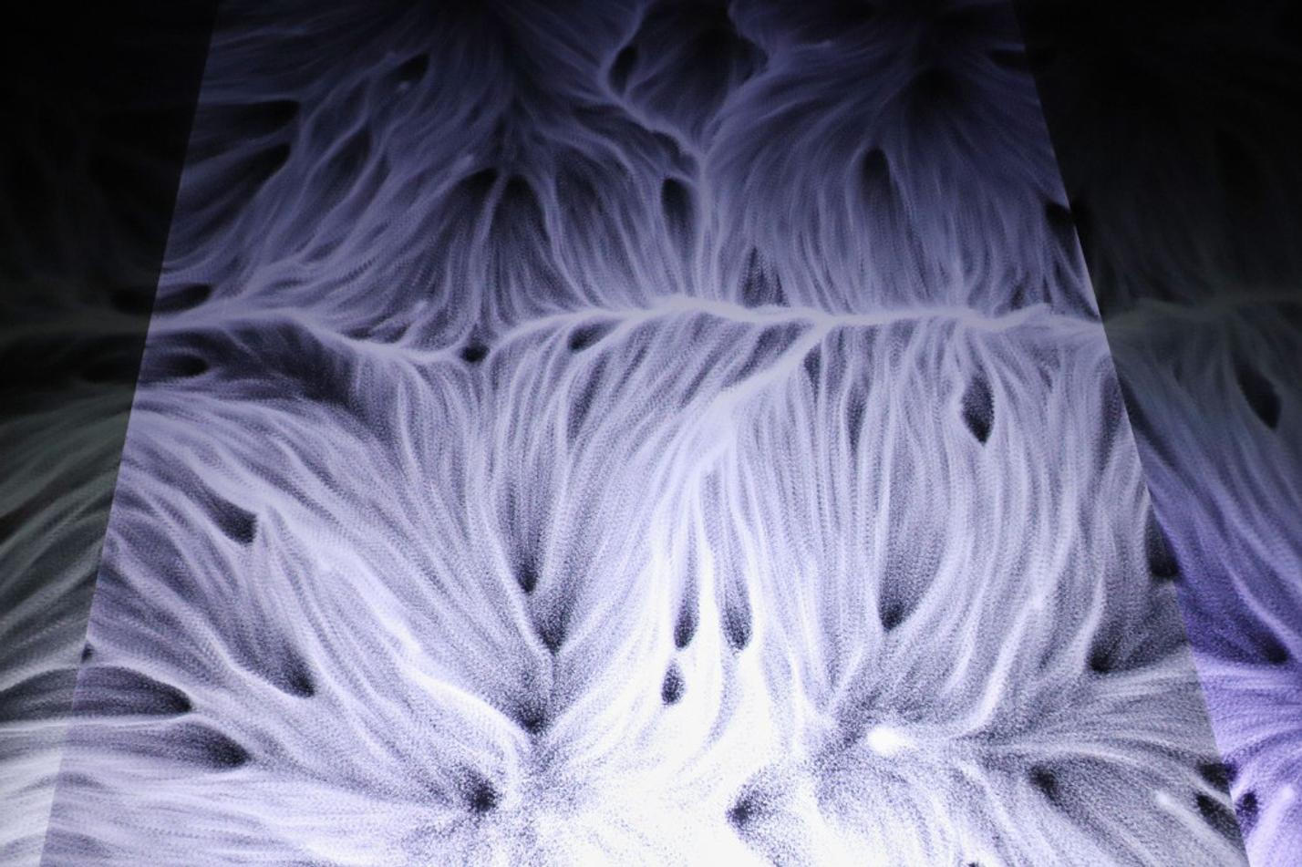9_multiverse
