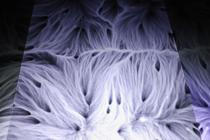 9_multiverse