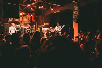 Cancer Bats