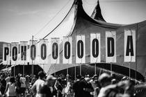 festival_8