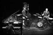 Brad Mehldau Trio