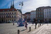 FAUNBRNO_1