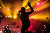 gogolbordello_1