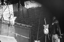 21 Heleeli