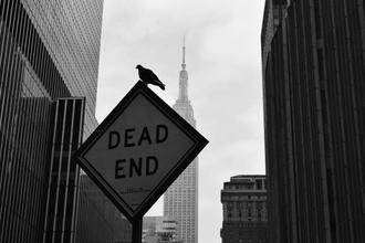 New York 2
