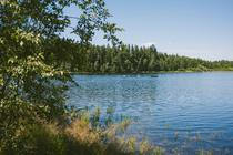 kupacka