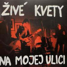 Zive kvety 2004