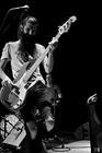 24-Band Of Heysek+Phil Shoenfelt