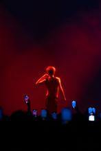 Troye Sivan (1)