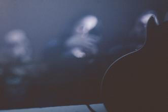 8__CultOfLuna