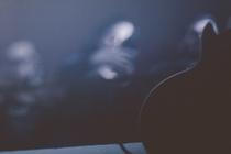 8__CultOfLuna