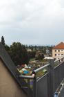 LFS1 (1)
