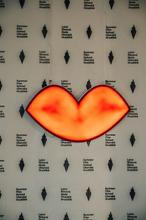 LFS8 (1)