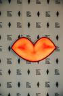LFS8 (1)