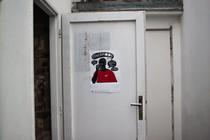 IMG_5878