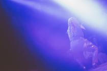 4_MISS_PETTY