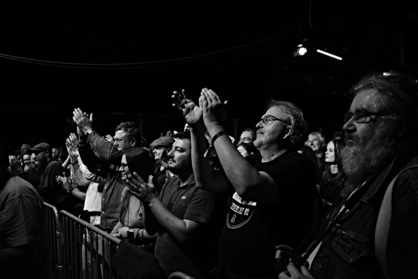 41-Blues Alive