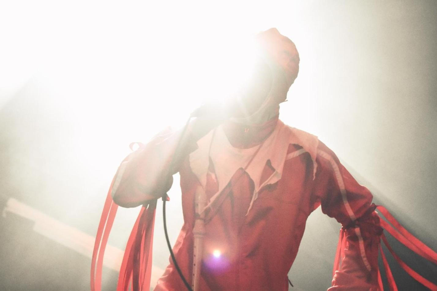 Gazelle Twin 5