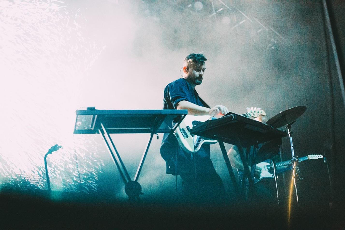 bonobo