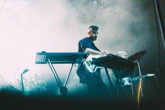 bonobo