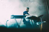 bonobo