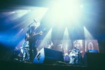 Franz Ferdinand7
