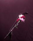 Atmo_1 (18)
