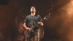 Fall Out Boy (3)