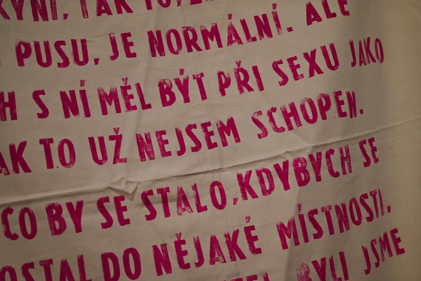 Mínka Dočkalová Sexy Silver 9